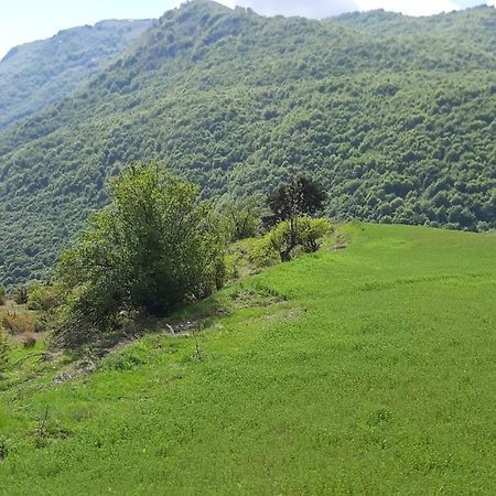 Bujtina E Tomorrit Ξενοδοχείο Ujanik Εξωτερικό φωτογραφία