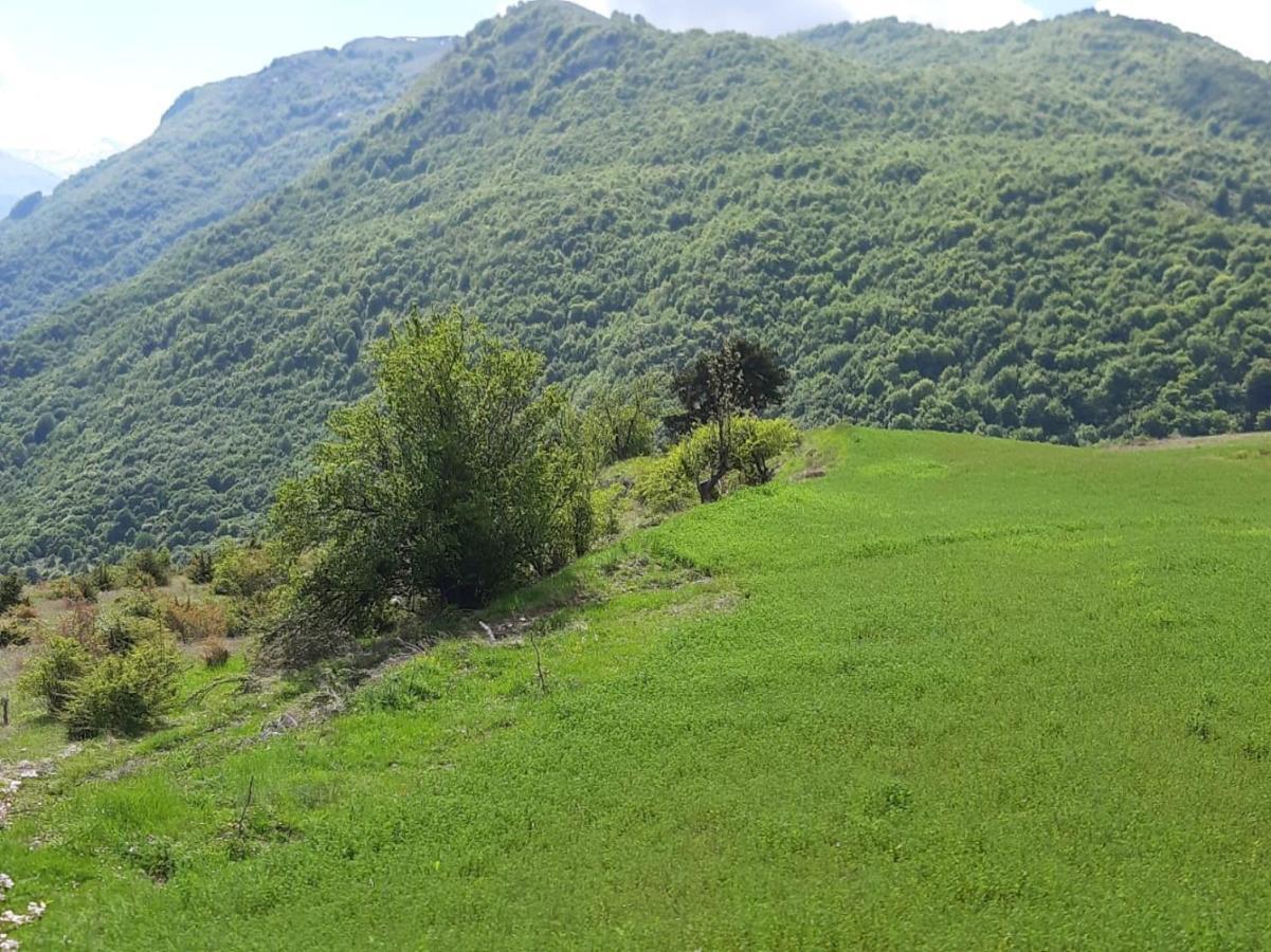 Bujtina E Tomorrit Ξενοδοχείο Ujanik Εξωτερικό φωτογραφία