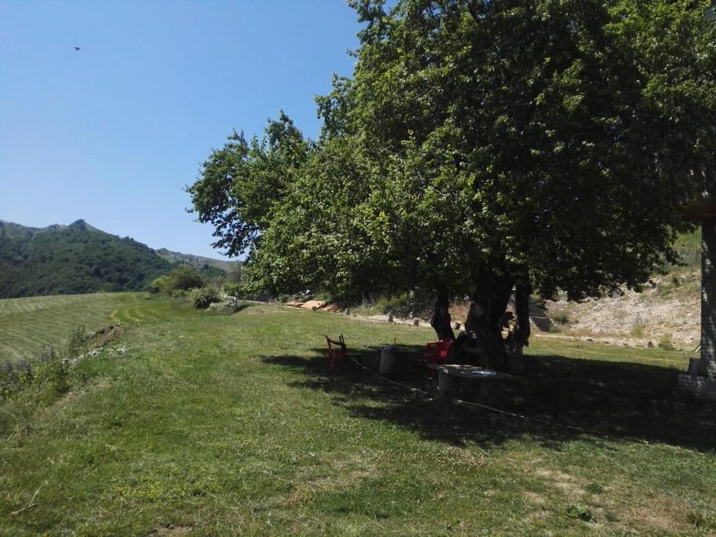 Bujtina E Tomorrit Ξενοδοχείο Ujanik Εξωτερικό φωτογραφία