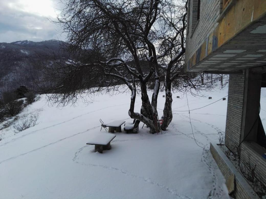 Bujtina E Tomorrit Ξενοδοχείο Ujanik Εξωτερικό φωτογραφία