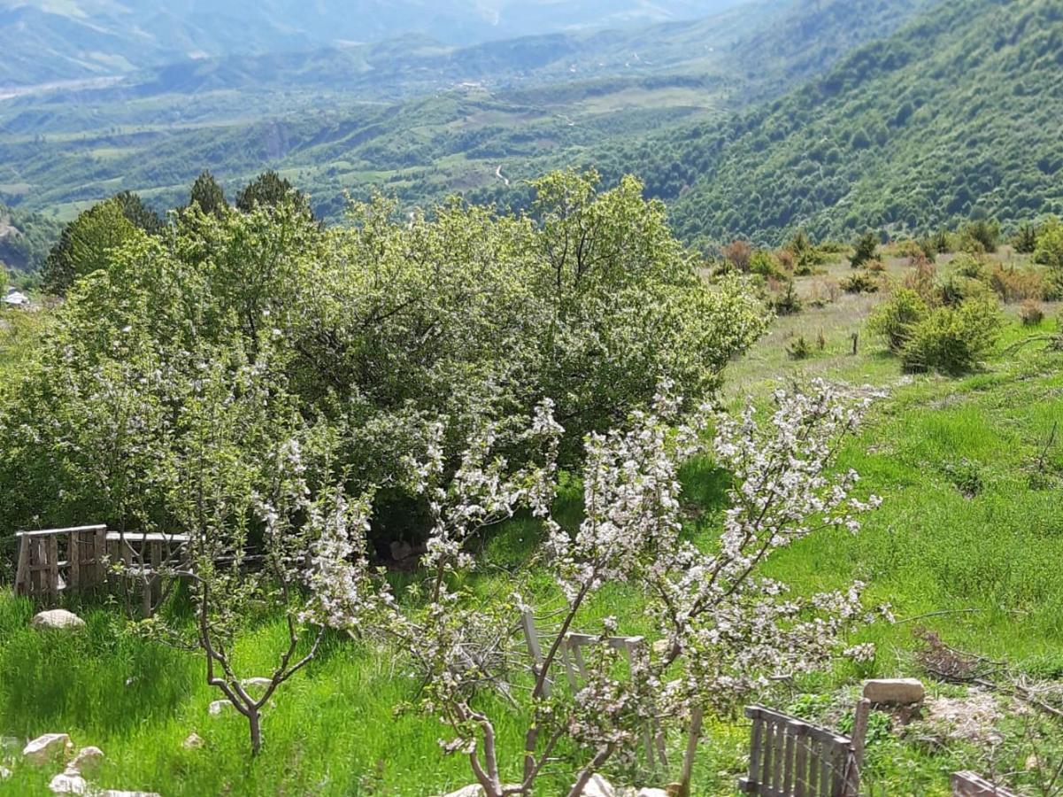 Bujtina E Tomorrit Ξενοδοχείο Ujanik Εξωτερικό φωτογραφία